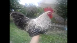 The cock is perfectly balanced despite movement