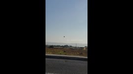 Bird.exe has stopped working