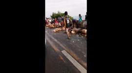 Frantic locals grab hundreds of bottles of brandy after lorry spilled its load