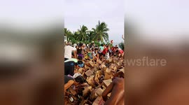 Frantic locals grab hundreds of bottles of brandy after lorry spilled its load