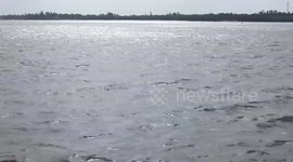 TRIP TO SUNDARBAN PART 2