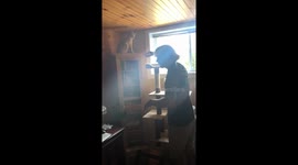 Tyson Furry: boxing cat goes for K.O.