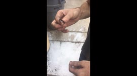 Baby snake: a true breakfast of champions