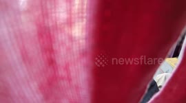 The Vampire at Montreal's La Ronde.