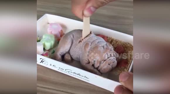 dog shaped ice cream near me