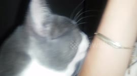 Zook licking my hand!!!