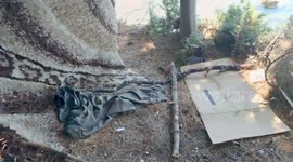 Arsonist hovel inside forest in Halkidiki Greece