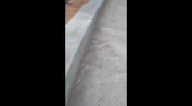 Giant Malabar Squirrel | While Travelling