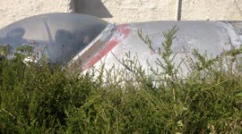 Canberra aircraft 'hides' in Cornish garden