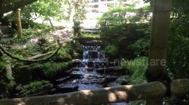 Cornwall's Japanese Garden 