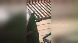 Newsflare Edit - This puppy is absolutely terrified of corn