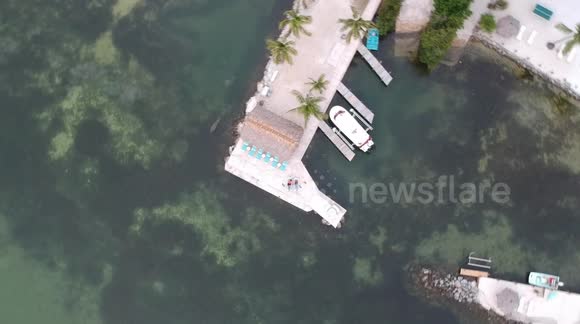 Surprise Finding of a Manatee with Aerial Footage