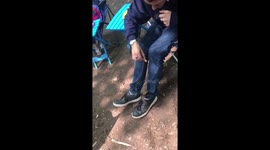 Chipmunk jumps on man for peanuts