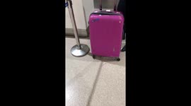 Passenger angry after two suitcases are damaged in aircraft's hold