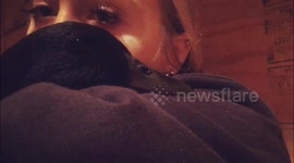 Duck kisses