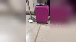 Newsflare Edit - Passenger angry after two suitcases are damaged in aircraft's hold