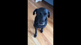 when you’ve asked someone to repeat themselves...