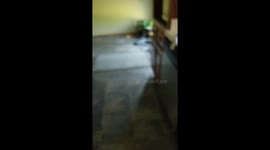 Louie loves his food!