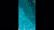 temp
