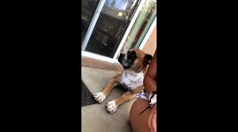 I just wanna share this because my dog really dosent love me ???? https://t.co/YyCxWkZbUQ