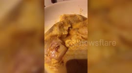 Customer horrified after finding WORMS crawling out of fish bought from Tesco