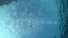 Bubble rings collide