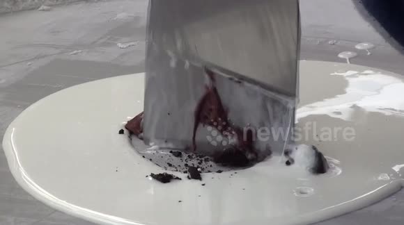 hand made ice cream rolls