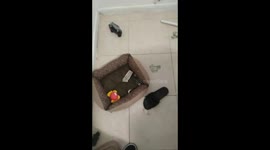 She's torn up my money