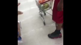1 year old toddler goes grocery shopping