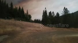 Fast-moving Delta Fire shuts down Northern California interstate