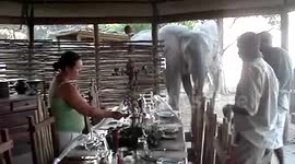Elephant raiding table decorations