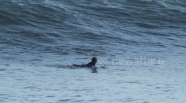 surfer butt-slides a wave