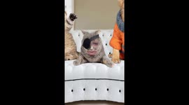 Makeup Shortcut Fail!