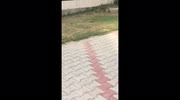 temp