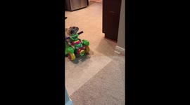 Elderly pug gets a new set of wheels