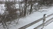 temp
