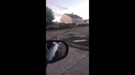 Got to love where your from 