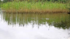 A stone skipping across a lake as raindrops fall.