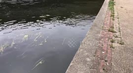 A mother fears her teenage son was murdered after he was found face-down in a river after a night out