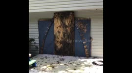 Boarding up my windows and doors video 2