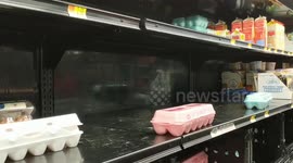 Video shows empty supermarket shelves as residents buy up supplies ahead of Florence landfall