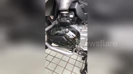 This is what's happening in your motorbike's engine while you're riding