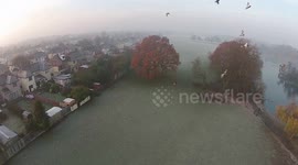 Pigeons surrounding drone.