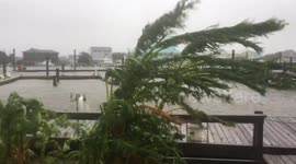 N. Carolina Coast: Hurricane Florence lashes vegetation along the Intracoastal Waterway