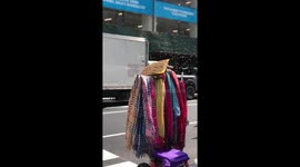 A vendor in NYC discovers a swarm of bees in one of his crates