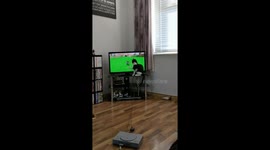 Cat plays spyro the dragon game