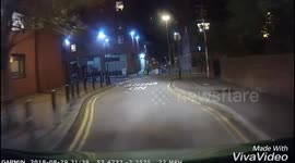 Woman falls chasing dog