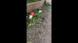 Streets of Hong Kong littered with debris as typhoon continues to slam city