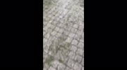 temp