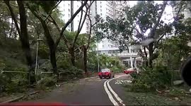 Drive through eastern district of Hong Kong shows Typhoon Manghyut's path of destruction